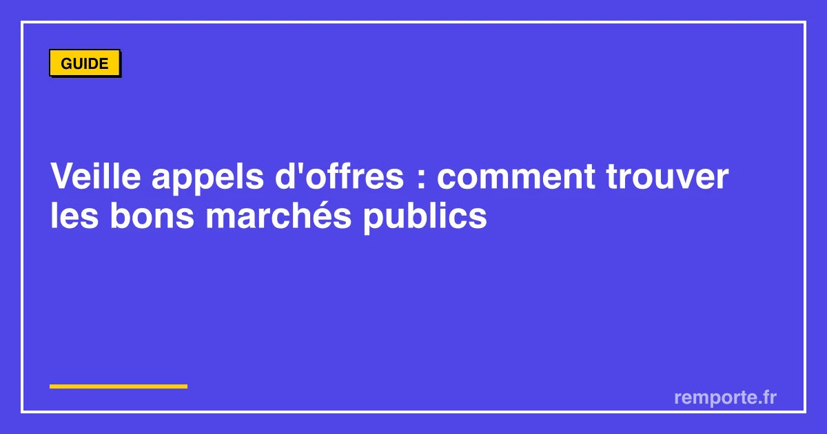 Guide veille appels d'offres marchés publics méthode
